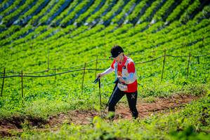 BIB: 
                            <button type="button" onclick="openModal(19161951)" class="btn btn-primary btn-sm float-right btn-popup" data-toggle="modal" data-target=".modal-high-quality">
                        <i class="fas fa-shopping-cart"></i> Add to Cart
                    </button>
                                            <button type="button" onclick="isThisMe(19161951, true)" class="btn btn-success btn-sm float-right btn-popup btn-isme hidden" data-toggle="tooltip" data-placement="bottom" title="นี่คือรูปของคุณใช่ไหม คลิกที่นี่เพื่อเอาเข้าอัลบั้ม">
                        <i class="fas fa-plus"></i> Add to album
                    </button>
                    <button type="button" onclick="isThisMe(19161951, false)" class="btn btn-warning btn-sm float-right btn-popup btn-isnotme hidden">
                        <i class="fas fa-ban"></i> Remove from album
                    </button>